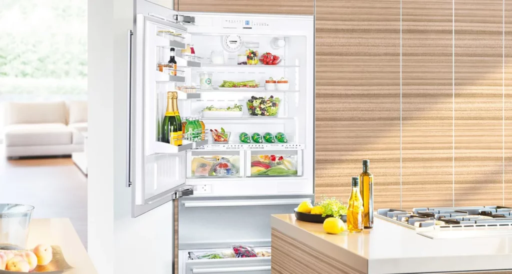 ECBN 6156 PremiumPlus Built-in fridge-freezer with BioFresh and NoFrost